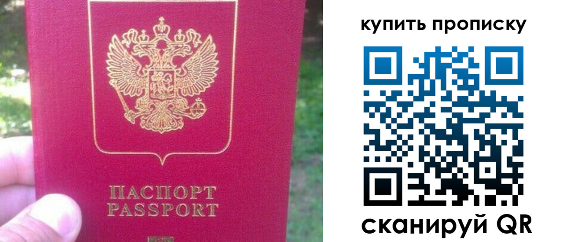 временная регистрация для школы в Сясьстрое